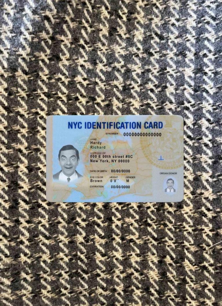 Downloadable USA New York ID photolook real example